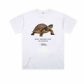 Slow Motion Over No Motion T-shirt