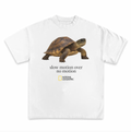 Tricou Slow Motion Over No Motion